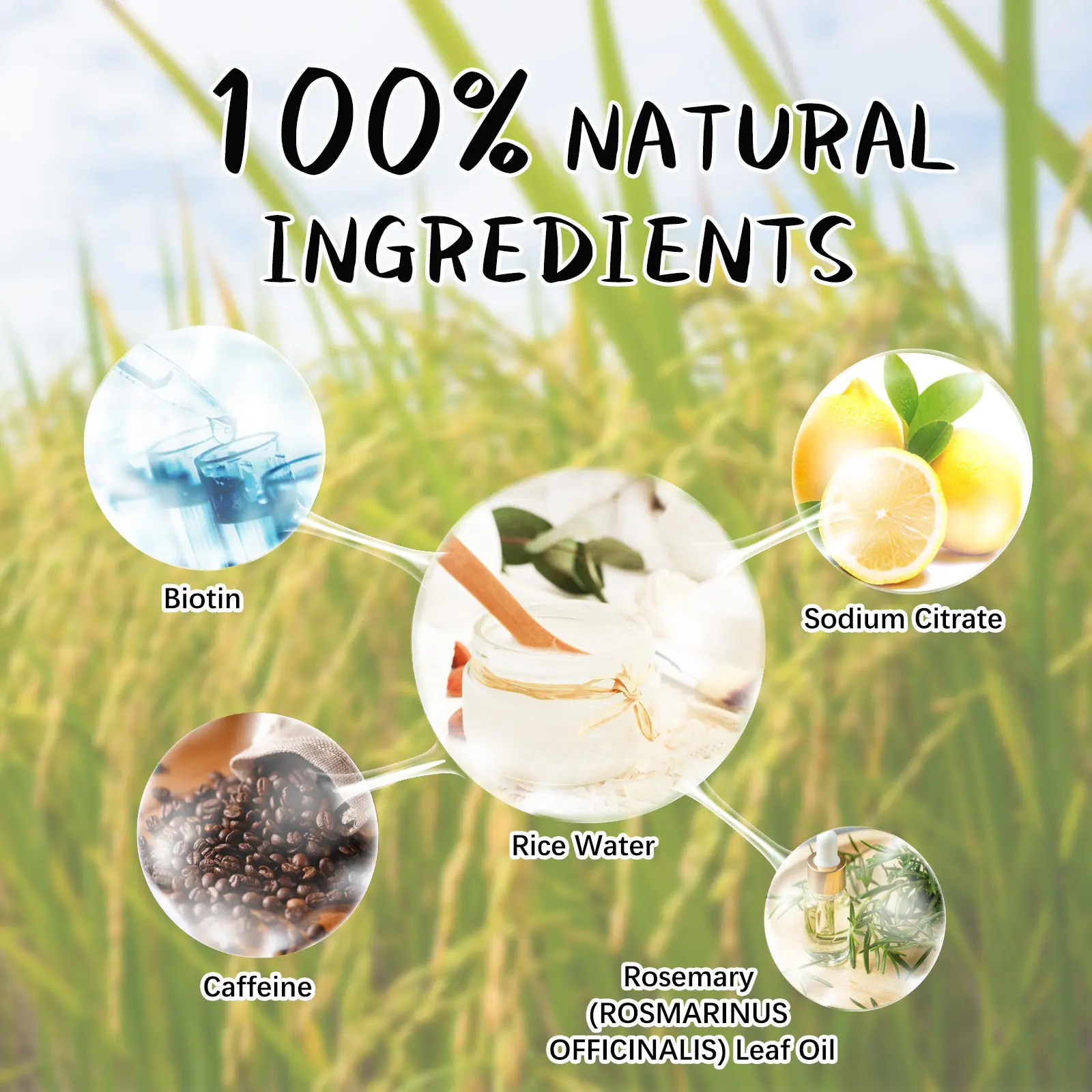 Rice Water Shampoo