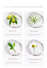 Green Tea Foaming Face Wash with Brush
