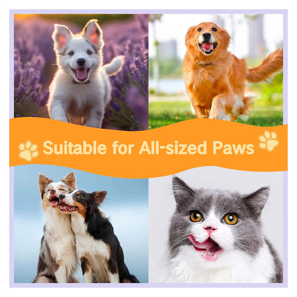 Pet Care