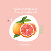 Dog Shampoo by Grapefruit Set Dog Grooming Shampoo Products for Smelly Dogs with Fragrance, Best Puppy Shampoo, Vegan Pet Shampoo & Conditioner