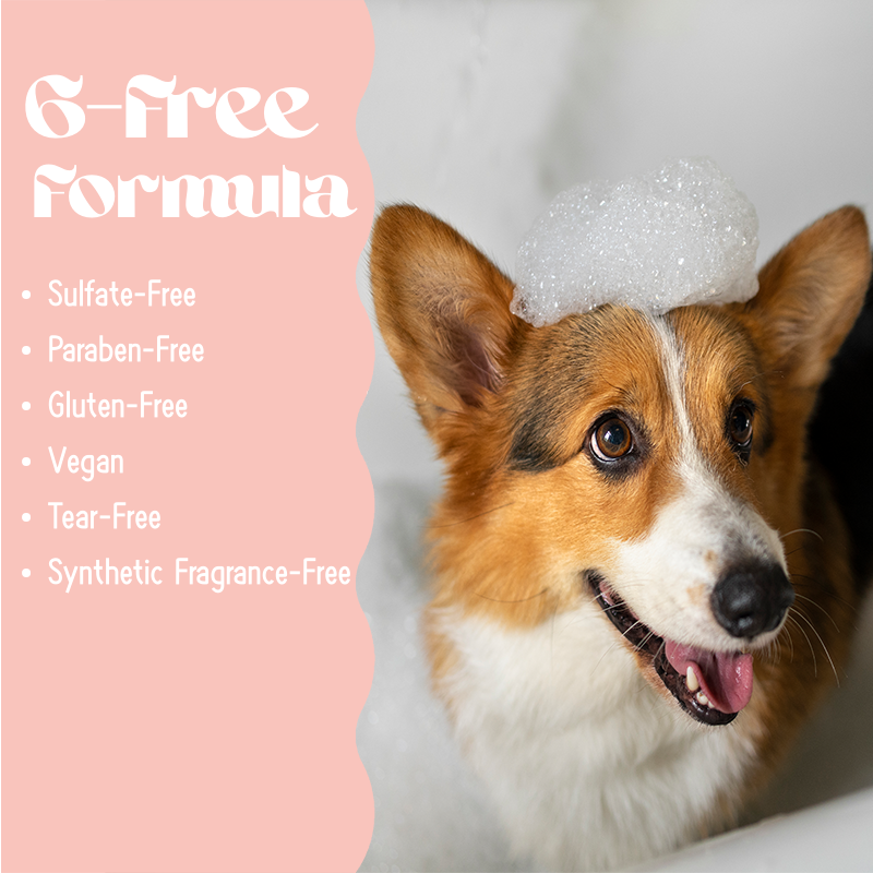 Dog Shampoo by Grapefruit Set Dog Grooming Shampoo Products for Smelly Dogs with Fragrance, Best Puppy Shampoo, Vegan Pet Shampoo & Conditioner