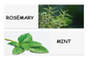 Rosemary Strengthening Shampoo